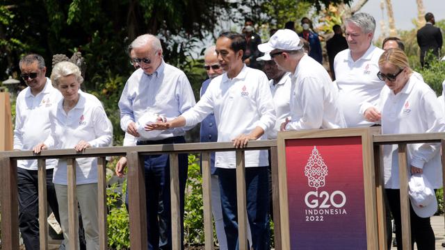 Revitalisasi Mangrove di Bali Dipuji Kepala Negara G20